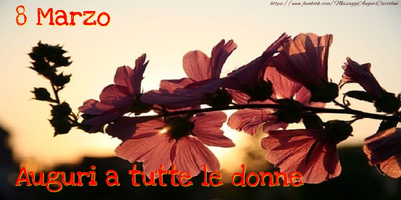 8 Marzo. Auguri atutte le donne