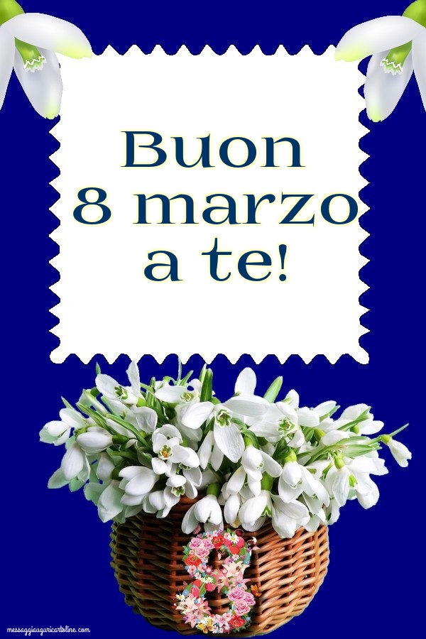 Buon 8 marzo a te