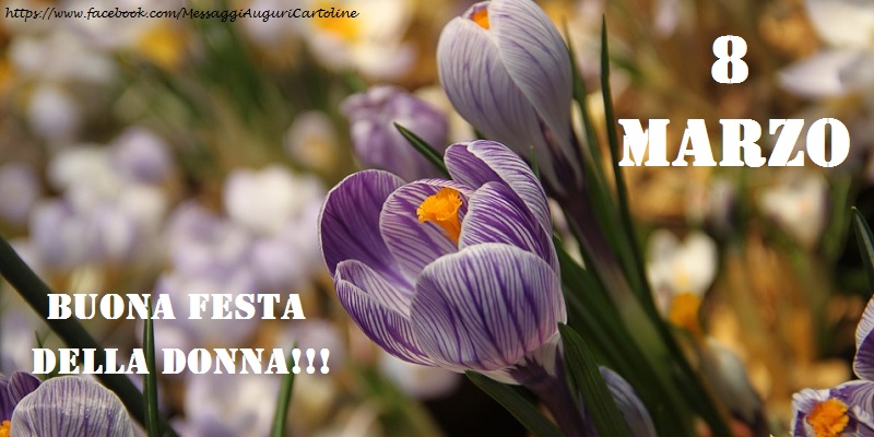 8 Marzo. Auguri a tutte le donne