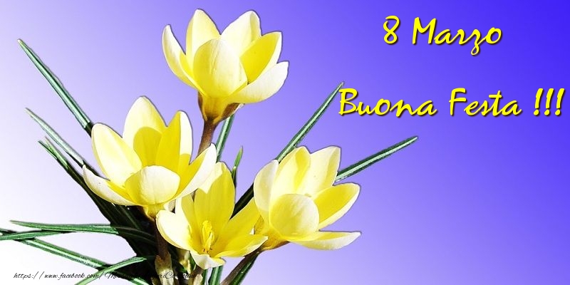 8 Marzo 8 marzo. Buona festa