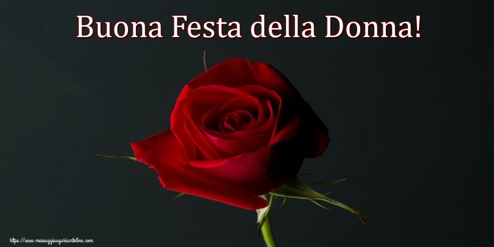 8 Marzo Buona Festa della Donna!
