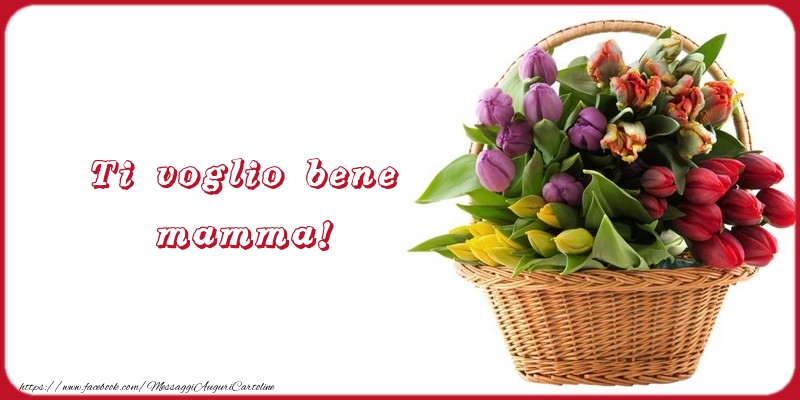 Ti voglio bene mamma!