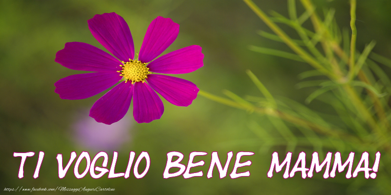 Ti voglio bene mamma!