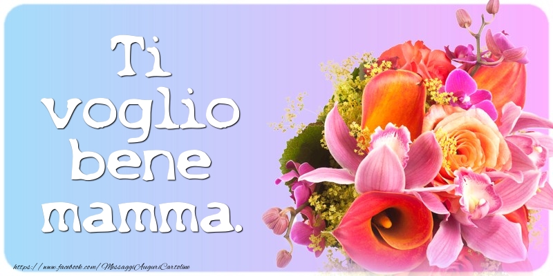 Ti voglio bene mamma.