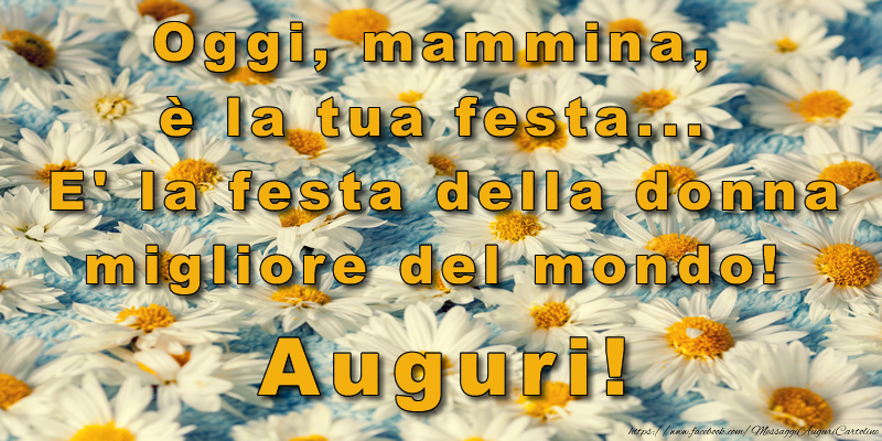 Oggi, mammina, è la tua festa... E' la festa della donna migliore del mondo! Auguri!