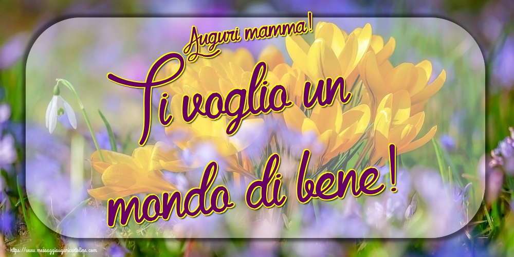 Auguri mamma! Ti voglio un mondo di bene!