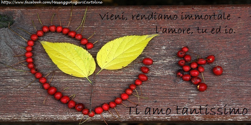 Vieni, rendiamo immortale l’amore, tu ed io.