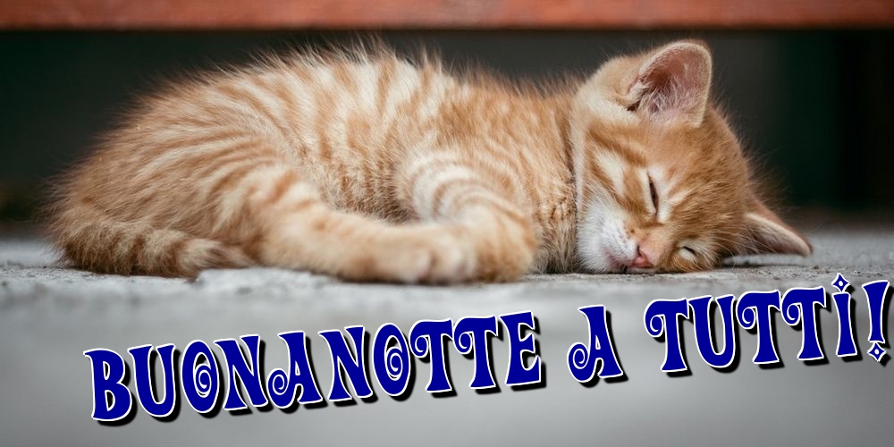 Cartoline di buonanotte - Buonanotte a tutti! - messaggiauguricartoline.com
