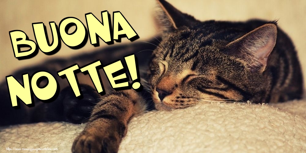Cartoline di buonanotte - Buona Notte! - messaggiauguricartoline.com