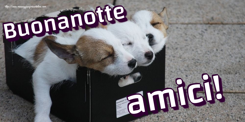 Cartoline di buonanotte - Buonanotte amici! - messaggiauguricartoline.com