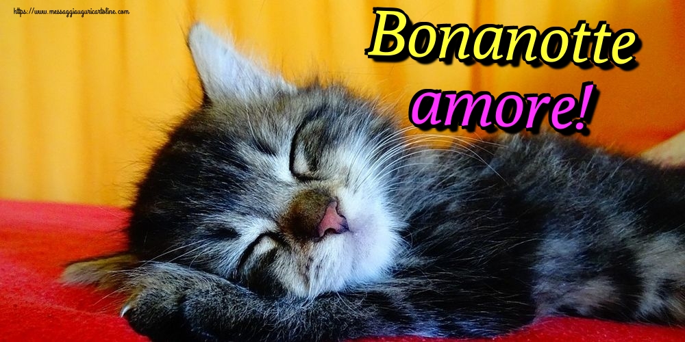 Cartoline di buonanotte - Bonanotte amore! - messaggiauguricartoline.com