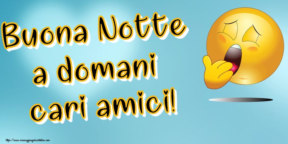 Buonanotte Buona Notte a domani cari amici!