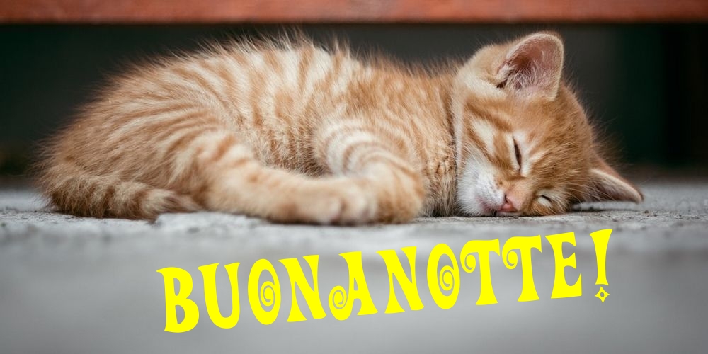 Cartoline di buonanotte - Buonanotte! - messaggiauguricartoline.com