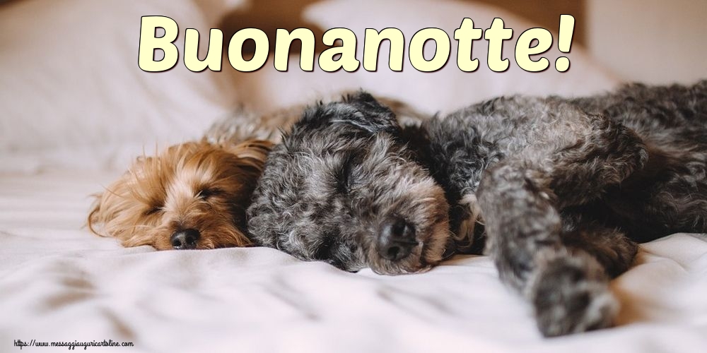 Cartoline di buonanotte - Buonanotte! - messaggiauguricartoline.com