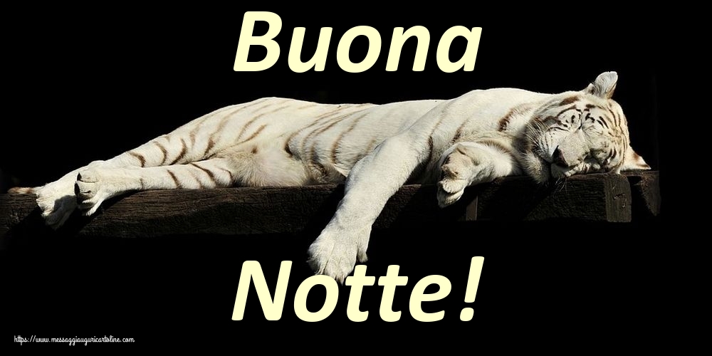 Buonanotte - Buona Notte!