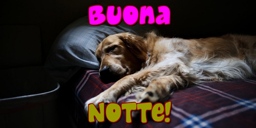 Cartoline di buonanotte - Buona Notte! - messaggiauguricartoline.com