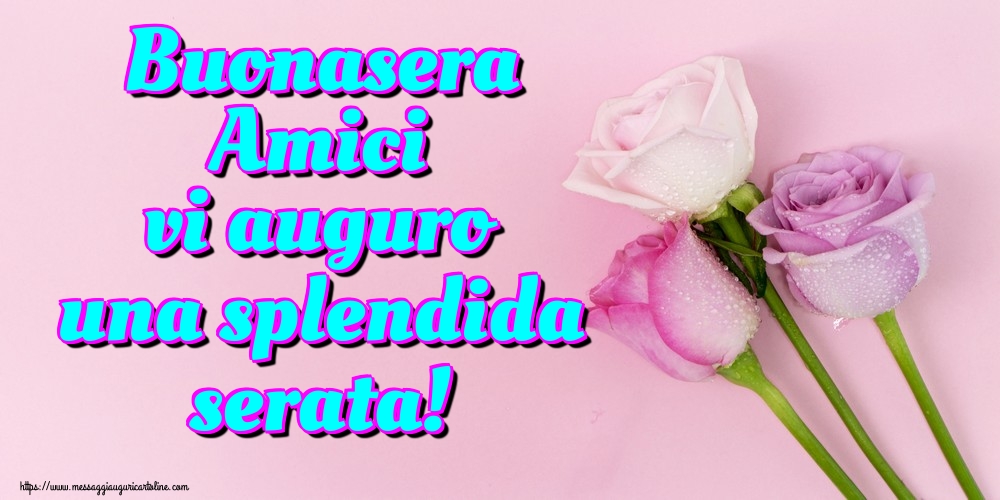 Buonasera Amici vi auguro una splendida serata!