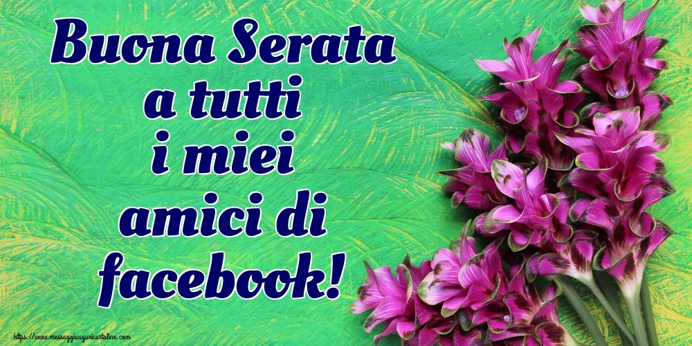 Buona Serata a tutti i miei amici di facebook!