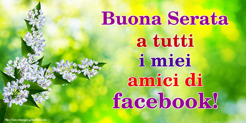 Buona Serata a tutti i miei amici di facebook!