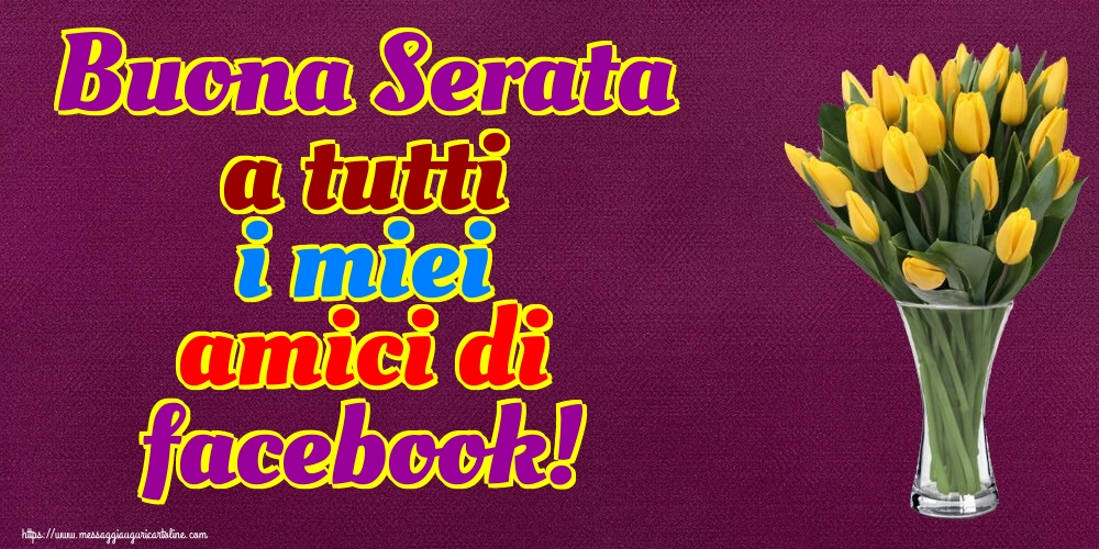 Buona Serata a tutti i miei amici di facebook!