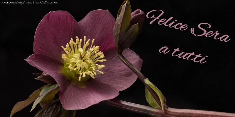 Felice Sera a tutti