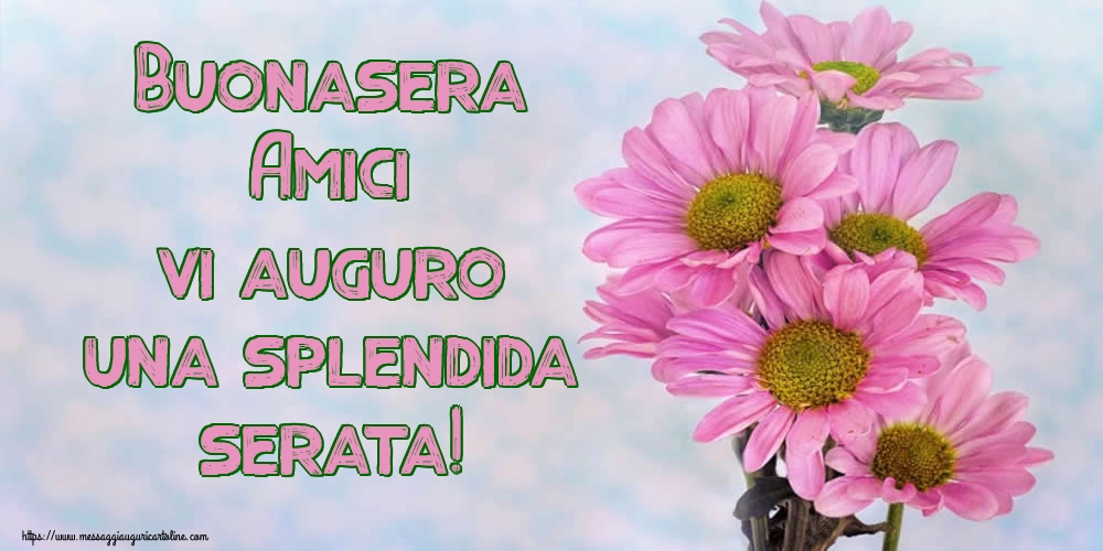 Buonasera Amici vi auguro una splendida serata!