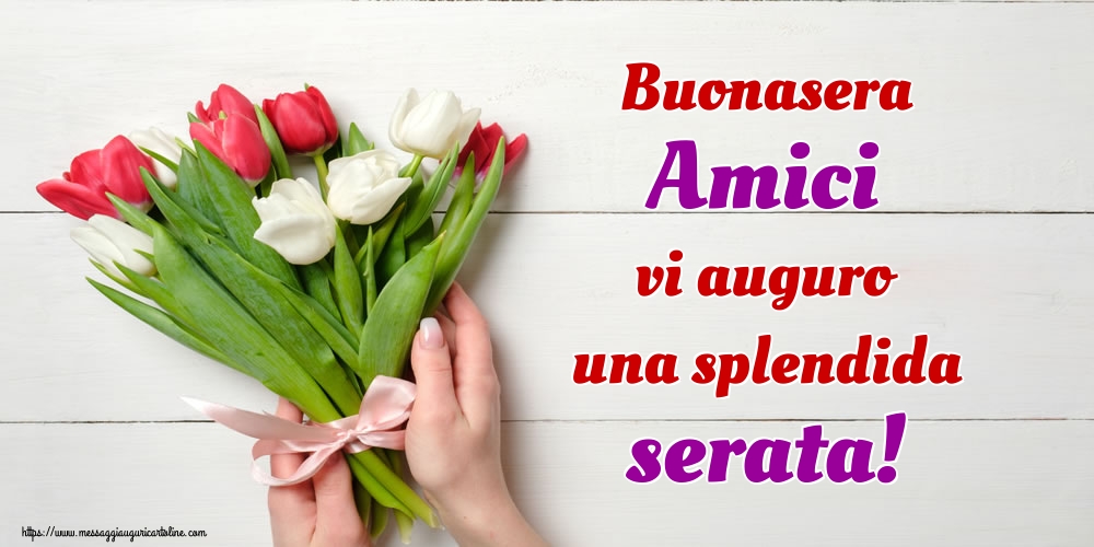 Buonasera Amici vi auguro una splendida serata!