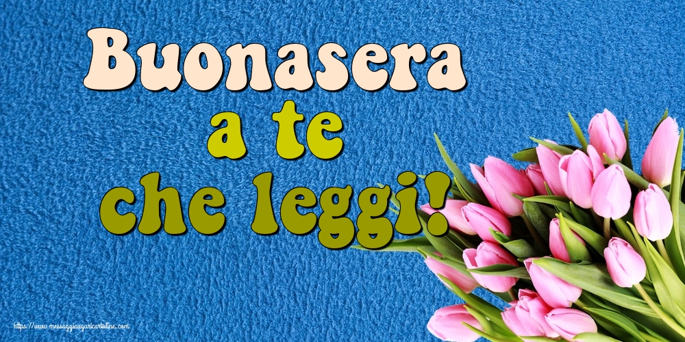 Buonasera a te che leggi!