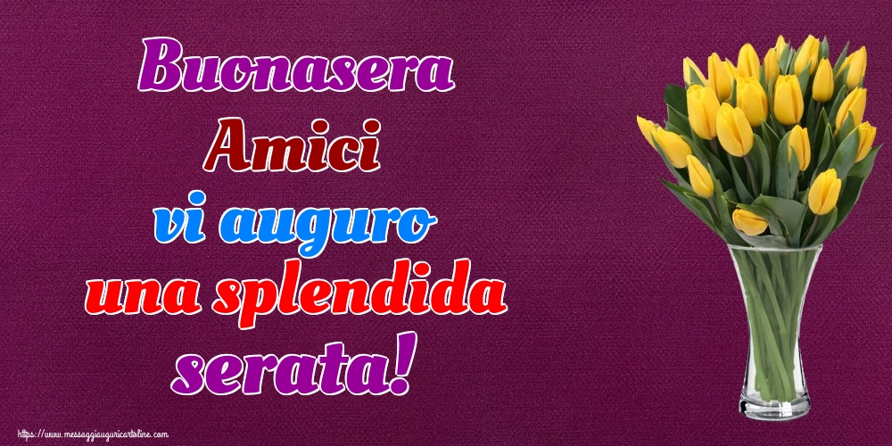 Buonasera Amici vi auguro una splendida serata!