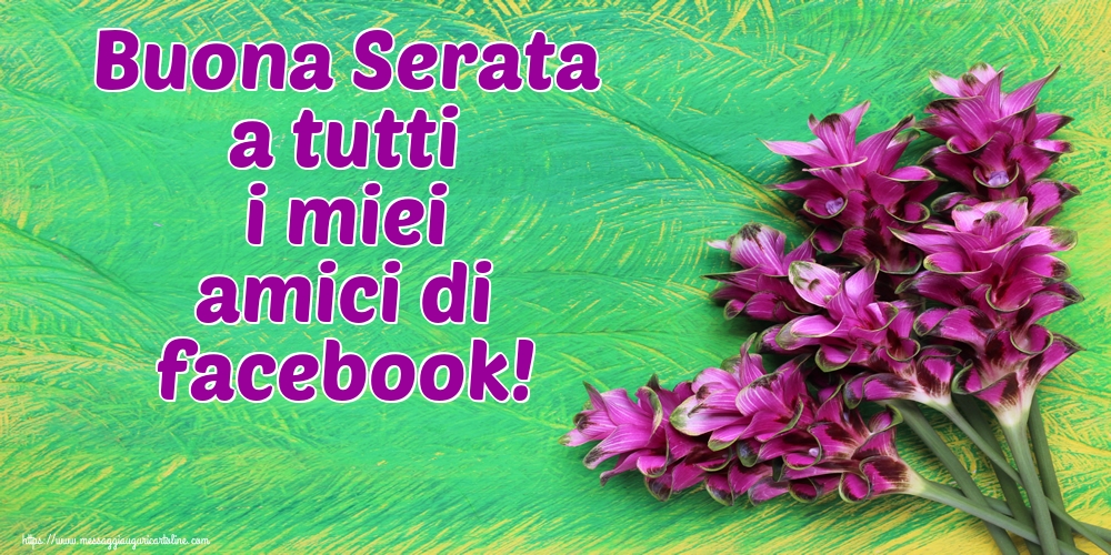 Buona Serata a tutti i miei amici di facebook!