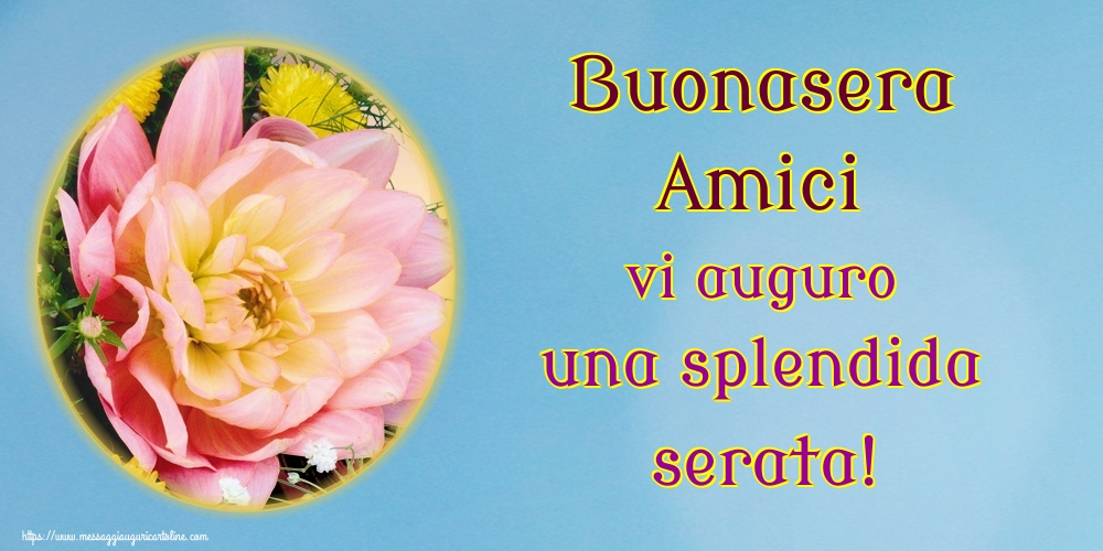 Buonasera Amici vi auguro una splendida serata!