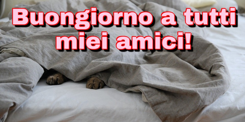 Buongiorno a tutti miei amici!