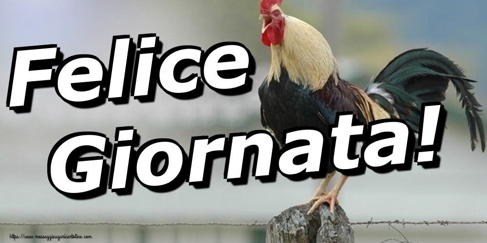 Felice Giornata!