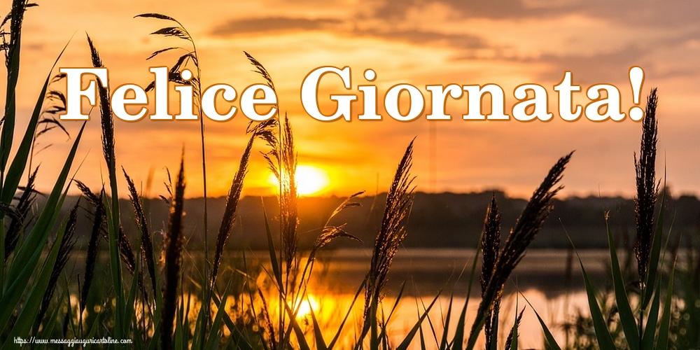 Felice Giornata!