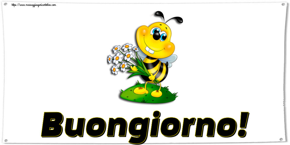 Buongiorno Buongiorno!