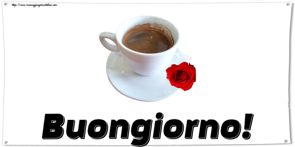 Buongiorno Buongiorno! ~ caffè e rosa