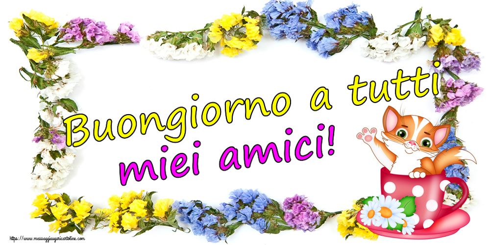 Buongiorno a tutti miei amici!