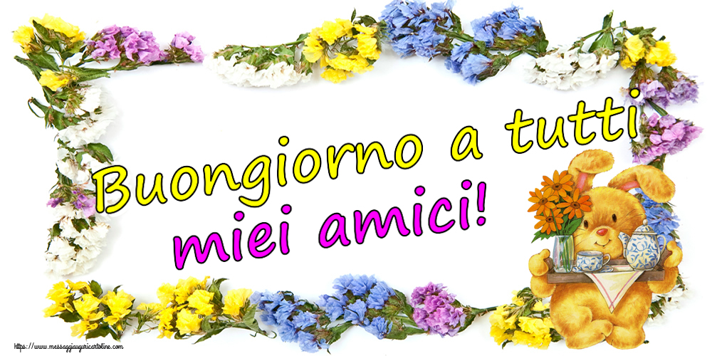 Buongiorno a tutti miei amici!