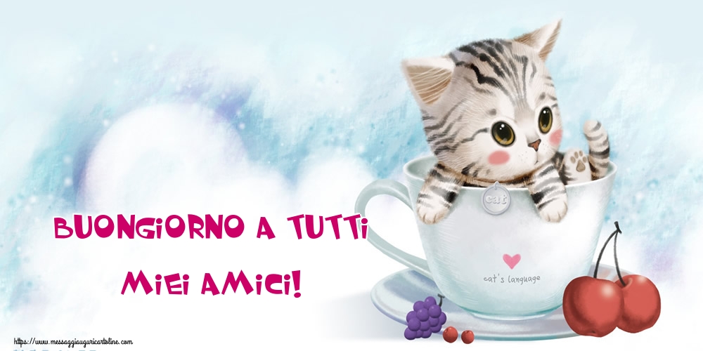 Buongiorno a tutti miei amici!