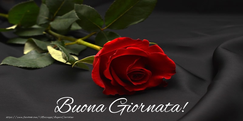 Buona Giornata!