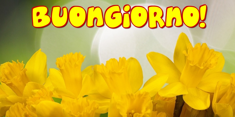 Buongiorno!