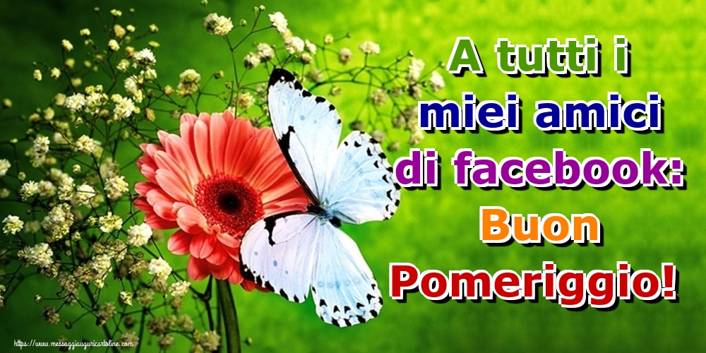 A tutti i miei amici di facebook: Buon Pomeriggio!