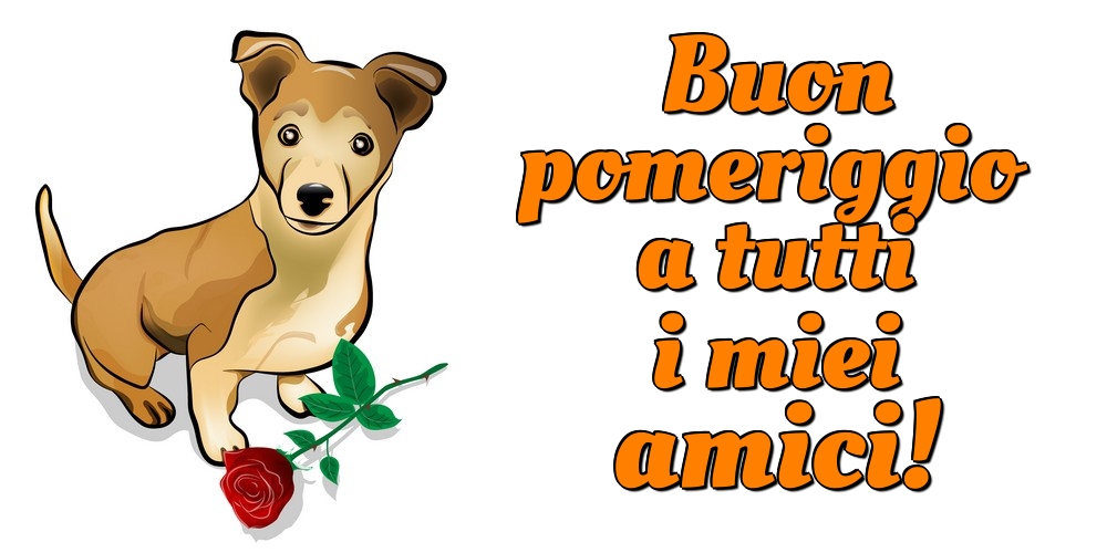 Buon pomeriggio a tutti i miei amici!