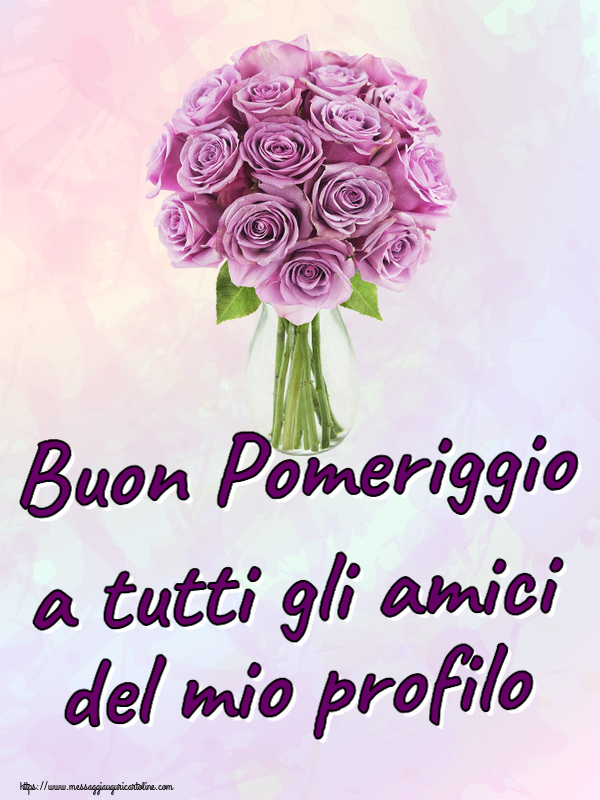 Buon Pomeriggio Buon Pomeriggio a tutti gli amici del mio profilo ~ rose viola in vaso