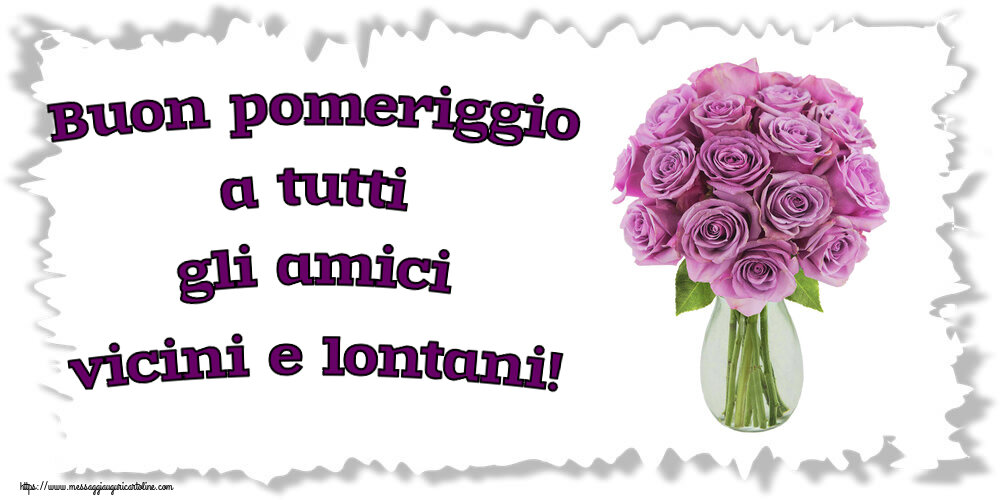Buon pomeriggio a tutti gli amici vicini e lontani! ~ rose viola in vaso