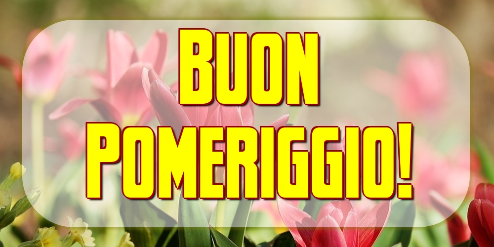 Buon Pomeriggio!