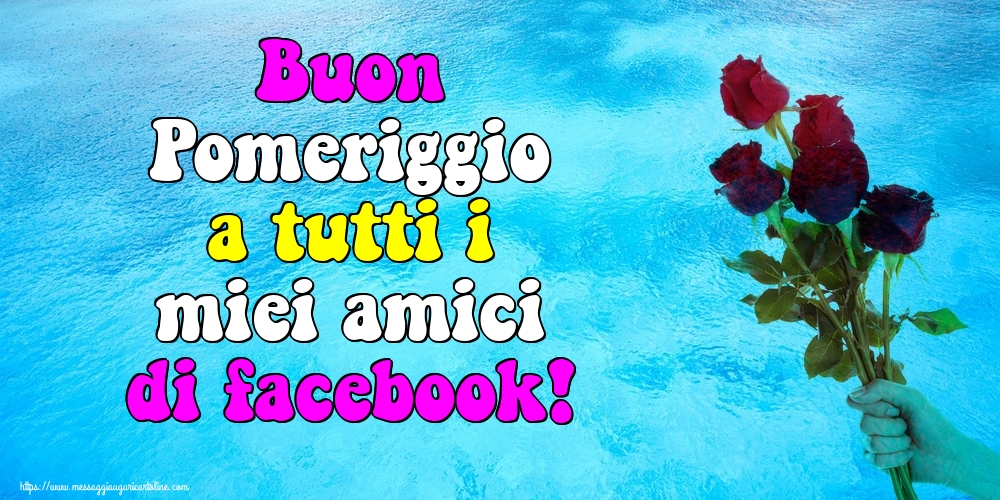 Buon Pomeriggio a tutti i miei amici di facebook!