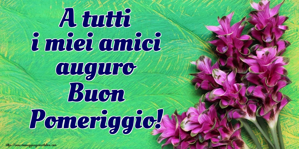 A tutti i miei amici auguro Buon Pomeriggio!