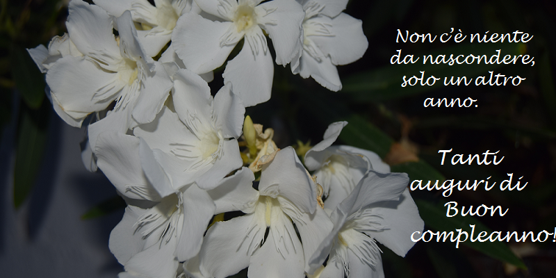 Cartoline di compleanno - Non c’è niente da nascondere, solo un altro anno. Tanti auguri di Buon compleanno! - messaggiauguricartoline.com