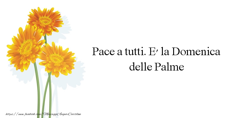 Pace a tutti. E' la Domenica delle Palme